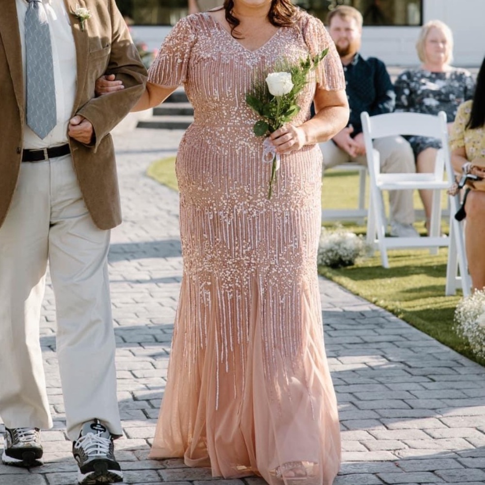 COPY - Blush pink Adrianna Papell platinum formal dress, size 14w